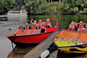 Кембридж, Матамата, Вайтомо: 1-часовая экологическая речная прогулка