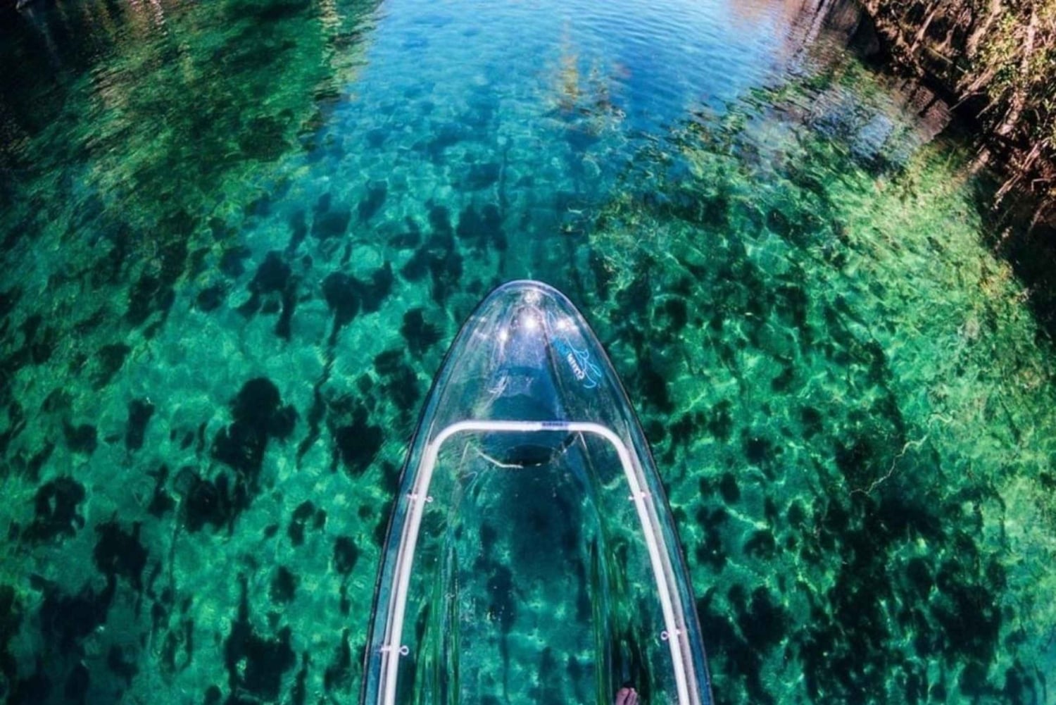 Dunnellon: wycieczka kajakiem przezroczystym z przewodnikiem po Rainbow Springs