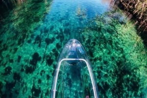 Dunnellon: wycieczka kajakiem przezroczystym z przewodnikiem po Rainbow Springs