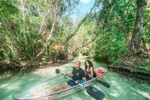 Dunnellon: wycieczka kajakiem przezroczystym z przewodnikiem po Rainbow Springs
