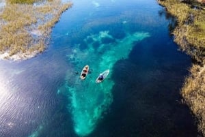 Dunnellon: wycieczka kajakiem przezroczystym z przewodnikiem po Rainbow Springs