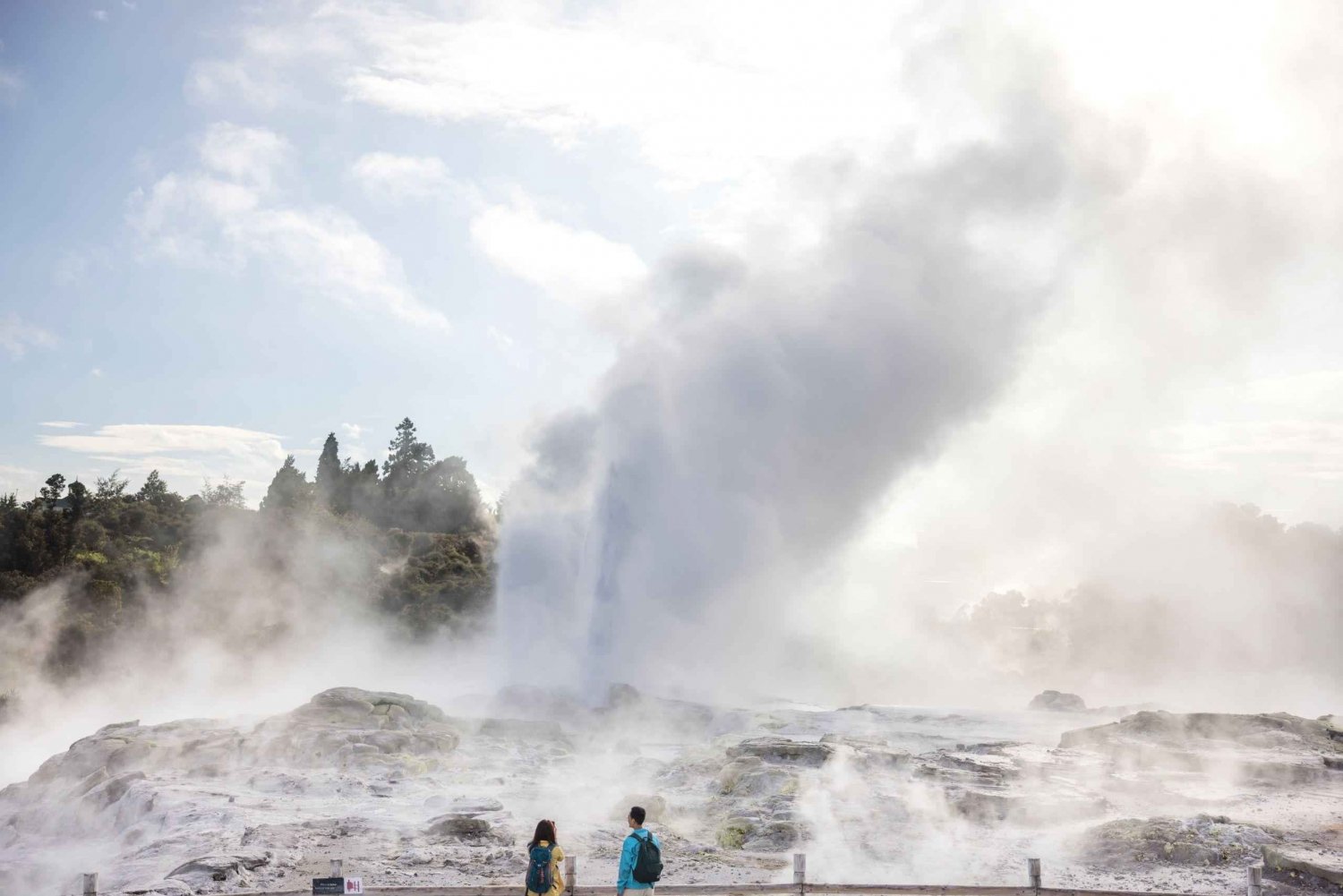 Из Окленда: TE PUIA GEOTHERMAL & HOBBITON Частный однодневный тур