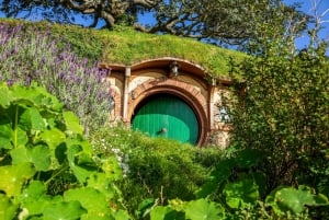 Ex Auckland: Tour privato di un giorno di TE PUIA GEOTHERMAL e HOBBITON