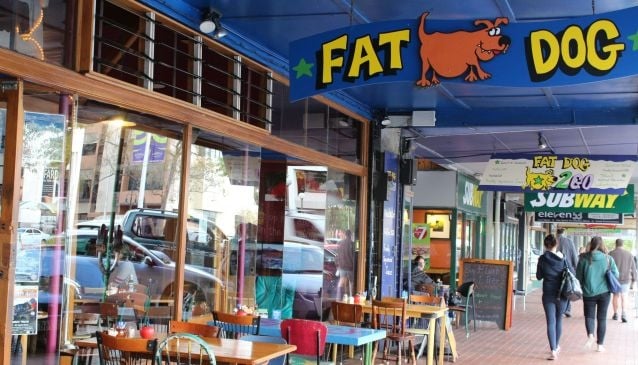  Fat  Dog  Cafe and Bar in Rotorua  My Guide Rotorua 