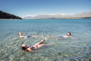 From Auckland: 18-Day North & South Island Tour with Lodging