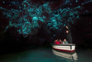 From Auckland: Day trip to Te Puia & Waitomo Caves