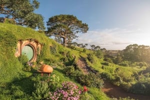 Ex Auckland: Hobbiton & Rotorua Māori Village w Hangi Lunch