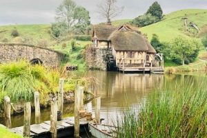 From Auckland: Hobbiton and Te Puia Guided Trip