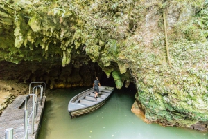 From Auckland: Hobbiton, Rotorua & Waitomo Caves Day Trip
