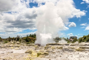 From Auckland: Hobbiton, Rotorua & Waitomo Caves Day Trip