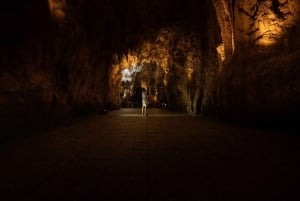 Desde Auckland: Viaje de ida a Rotorua con las cuevas de Waitomo