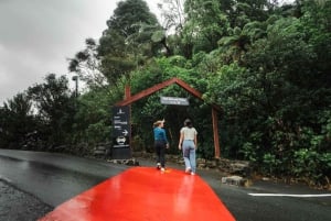 Desde Auckland: Viaje de ida a Rotorua con las cuevas de Waitomo