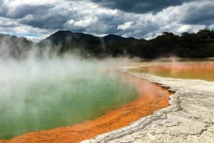 Vanuit Auckland: Rotorua hoogtepunten groepstour