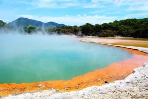 From Auckland: Rotorua Highlights Group Tour