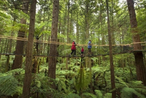 From Auckland: Rotorua Māori Village & Activity Combinations