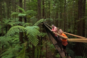 Från Auckland: Rotorua Māori Village & Kombinationer av aktiviteter