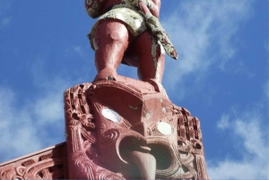 Da Auckland: tour privato di un giorno a Rotorua con esperienza termale