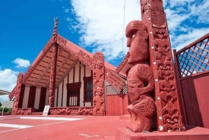 Da Auckland: tour privato di un giorno a Rotorua con esperienza termale