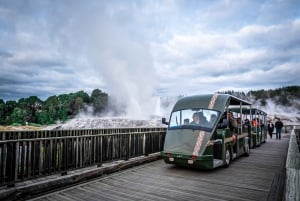 From Auckland: Rotorua Te Puia, Haka & Polynesian Spa Tour