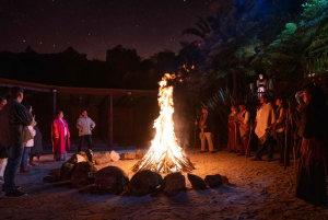 Från Auckland: Te Pā Tū Māori Village Privat dagstur