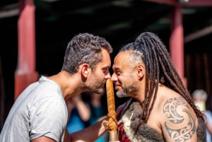 From Auckland: Te Pā Tū Māori Village Private Day Tour