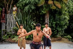 Från Auckland: Te Pā Tū Māori Village Privat dagstur