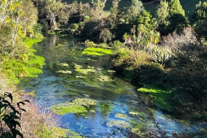 TE PUIA – Maori-Hangi-Mittagessen, Polynesian Spa & Blue Springs