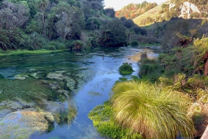 TE PUIA – Maori-Hangi-Mittagessen, Polynesian Spa & Blue Springs