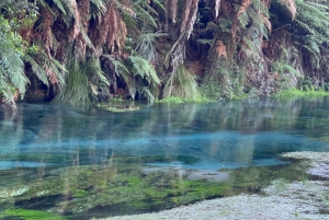 TE PUIA – Maori-Hangi-Mittagessen, Polynesian Spa & Blue Springs