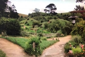 From Auckland to Hobbiton and Te Puia Day Tour with Lunch