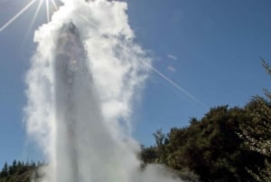 Från Auckland: Dagstur till Wai-O-Tapu och Polynesian Spa Rotorua