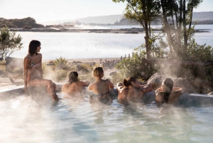 Från Auckland: Dagstur till Wai-O-Tapu och Polynesian Spa Rotorua