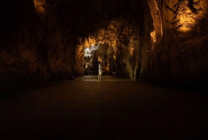 Auckland: Waitomo Caves & Rotorua – Te Puia Kleingruppentour