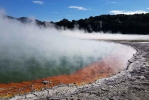From Rotorua: Eco Cultural full day tour