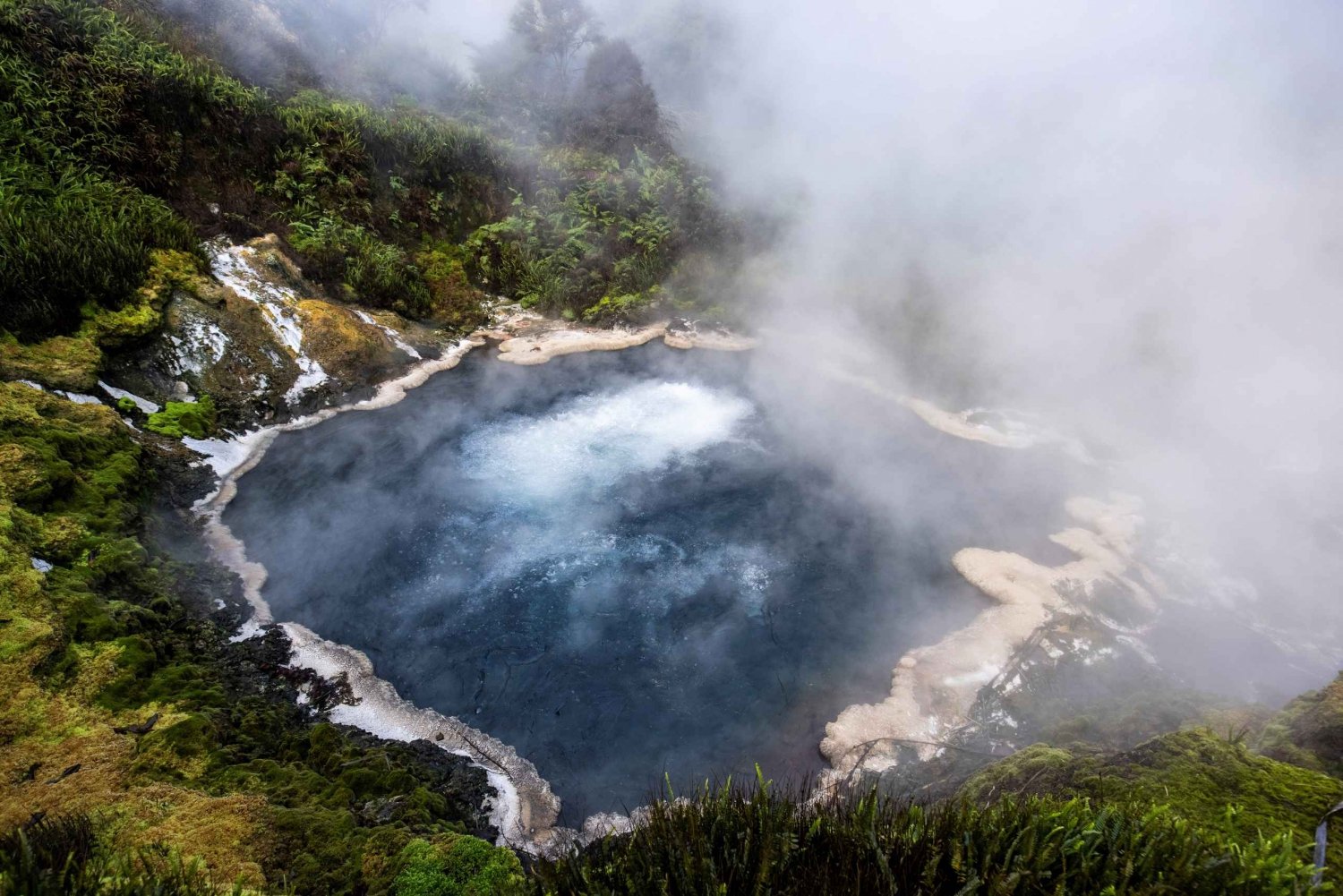 Depuis Rotorua - visite d'une demi-journée - WAIKITE VALLEY HOTPOOLS