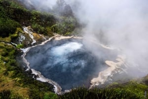 Desde Rotorua - Tour de medio día - HOTPOOLS DEL VALLE WAIKITE