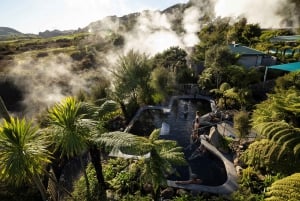 Desde Rotorua - Tour de medio día - HOTPOOLS DEL VALLE WAIKITE