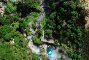 Desde Rotorua - Tour de medio día - HOTPOOLS DEL VALLE WAIKITE