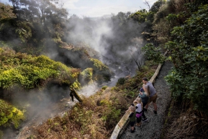 Desde Rotorua - Tour de medio día - HOTPOOLS DEL VALLE WAIKITE