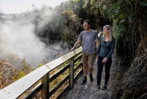 Desde Rotorua - Tour de medio día - HOTPOOLS DEL VALLE WAIKITE