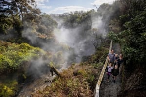 Desde Rotorua - Tour de medio día - HOTPOOLS DEL VALLE WAIKITE