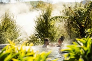 Desde Rotorua - Tour de medio día - HOTPOOLS DEL VALLE WAIKITE