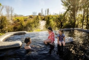 Desde Rotorua - Tour de medio día - HOTPOOLS DEL VALLE WAIKITE