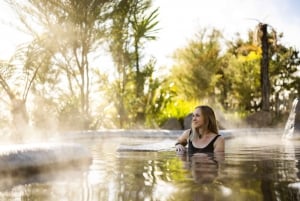 Desde Rotorua - Tour de medio día - HOTPOOLS DEL VALLE WAIKITE