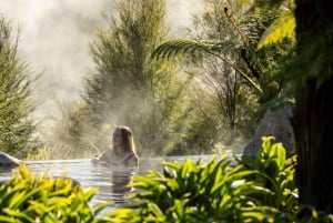 Desde Rotorua - Tour de medio día - HOTPOOLS DEL VALLE WAIKITE