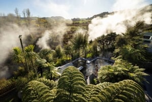 Desde Rotorua - Tour de medio día - HOTPOOLS DEL VALLE WAIKITE