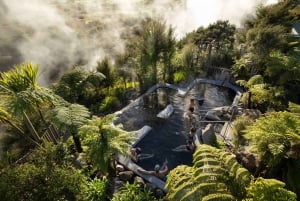 Desde Rotorua - Tour de medio día - HOTPOOLS DEL VALLE WAIKITE