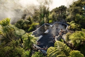 Desde Rotorua - Tour de medio día - HOTPOOLS DEL VALLE WAIKITE