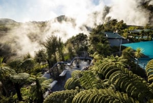 Desde Rotorua - Tour de medio día - HOTPOOLS DEL VALLE WAIKITE