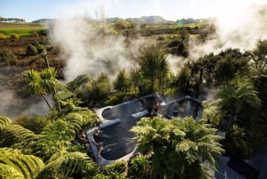 Desde Rotorua - Tour de medio día - HOTPOOLS DEL VALLE WAIKITE